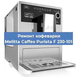 Ремонт капучинатора на кофемашине Melitta Caffeo Purista F 230-101 в Москве